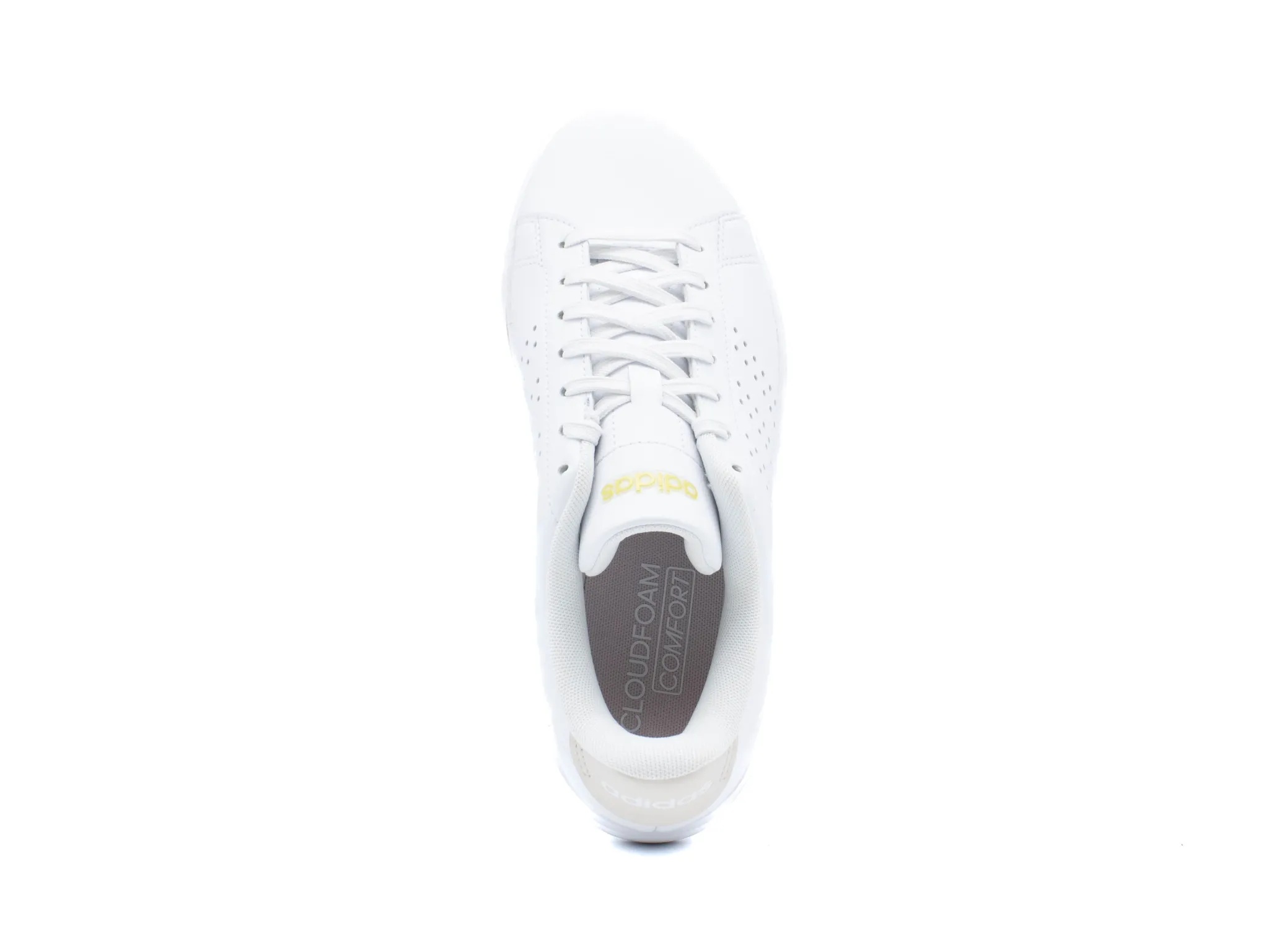 Athletic|ADIDAS Advantage .0 WHITE