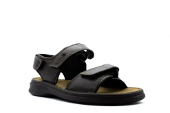 Casual|JOSEF SEIBEL Rafe BROWN