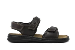 Casual|JOSEF SEIBEL Rafe BROWN