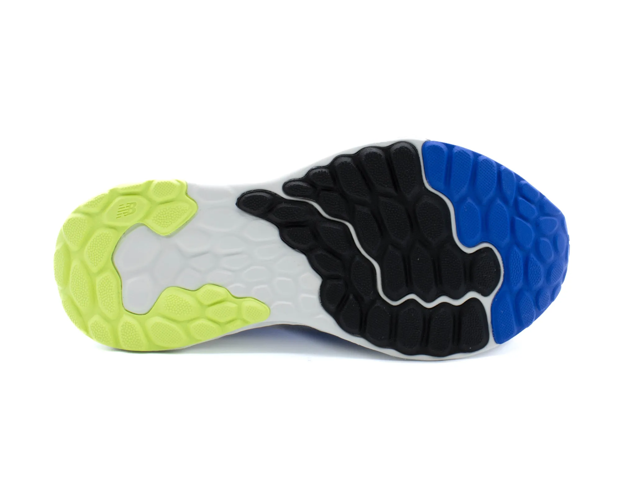 Athletic|NEW BALANCE NEW Fresh Foam Arishi v BLUE