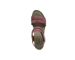 Casual|TAOS Reason RED