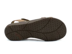 Casual|TAOS Trophy HONEY
