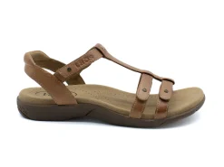 Casual|TAOS Trophy HONEY