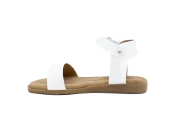 Casual|TAXI Reegan WHITE