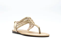 Casual|TAXI Rosa 01 RSGLD