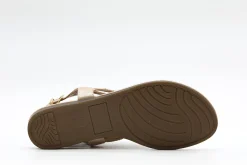 Casual|TAXI Rosa 01 RSGLD