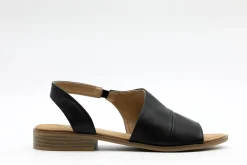 Casual|TAXI Shayla BLACK