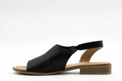 Casual|TAXI Shayla BLACK