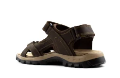 Sport|TAXI Sporty BROWN