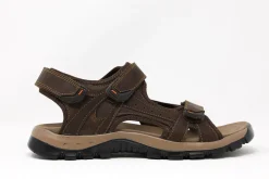 Sport|TAXI Sporty BROWN